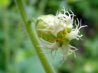dsc07930a