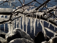 dsc00373a