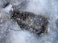 dsc04906a