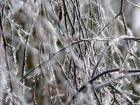 dsc05299a