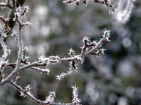 dsc05300a