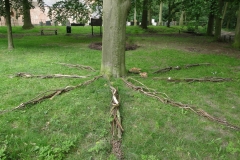 land-art